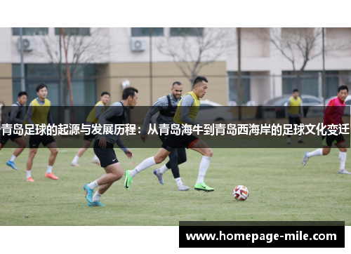 青岛足球的起源与发展历程：从青岛海牛到青岛西海岸的足球文化变迁