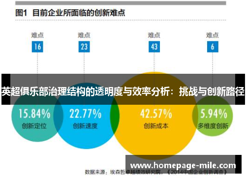 英超俱乐部治理结构的透明度与效率分析：挑战与创新路径